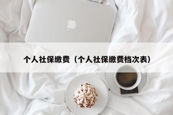 个人社保缴费（个人社保缴费档次表）