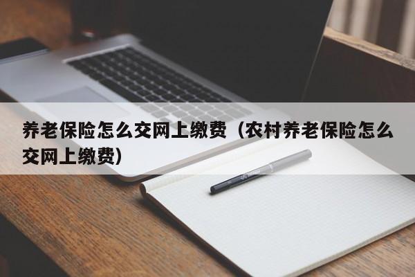 养老保险怎么交网上缴费（农村养老保险怎么交网上缴费）