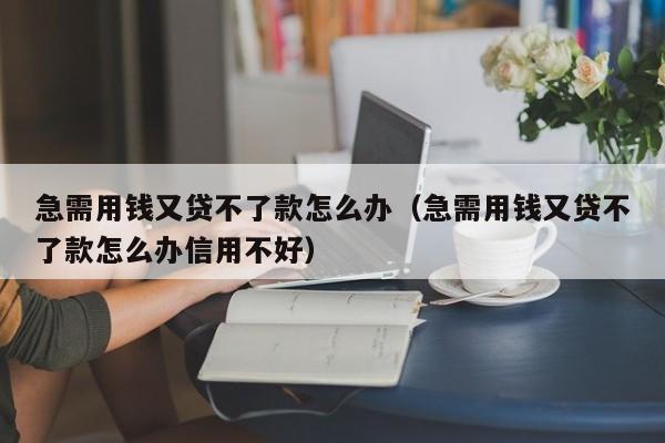 急需用钱又贷不了款怎么办（急需用钱又贷不了款怎么办信用不好）