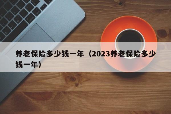 养老保险多少钱一年（2023养老保险多少钱一年）