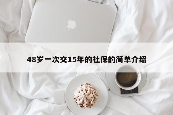 48岁一次交15年的社保的简单介绍