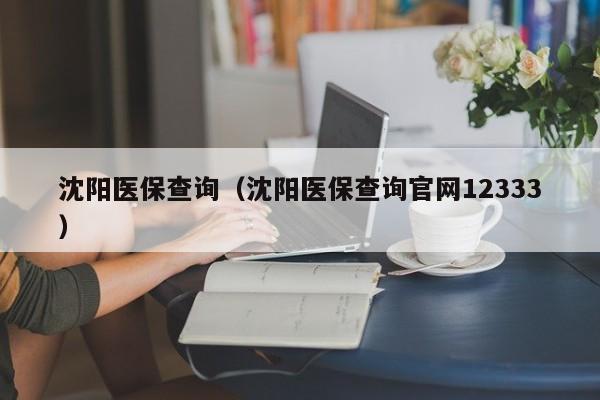 沈阳医保查询（沈阳医保查询官网12333）