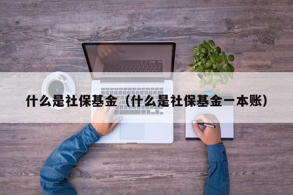 什么是社保基金（什么是社保基金一本账）