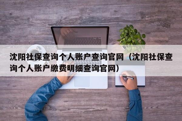 沈阳社保查询个人账户查询官网（沈阳社保查询个人账户缴费明细查询官网）