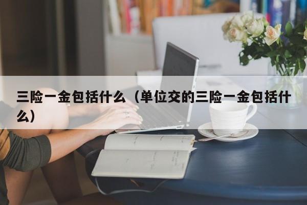 三险一金包括什么（单位交的三险一金包括什么）