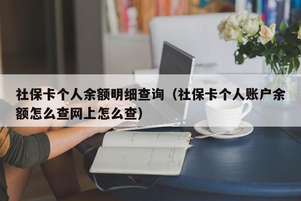 社保卡个人余额明细查询（社保卡个人账户余额怎么查网上怎么查）