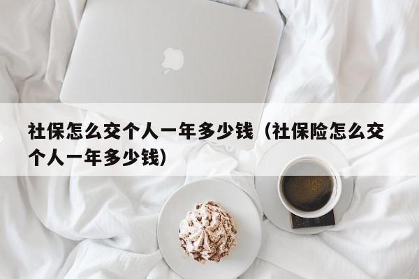 社保怎么交个人一年多少钱（社保险怎么交 个人一年多少钱）