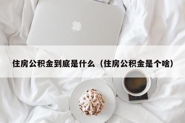 住房公积金到底是什么（住房公积金是个啥）