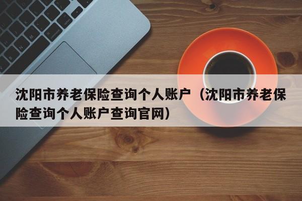 沈阳市养老保险查询个人账户（沈阳市养老保险查询个人账户查询官网）