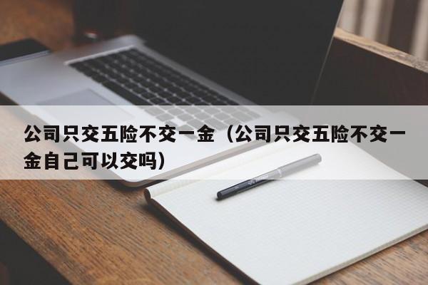 公司只交五险不交一金（公司只交五险不交一金自己可以交吗）