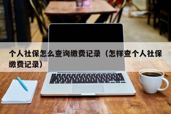 个人社保怎么查询缴费记录（怎样查个人社保缴费记录）