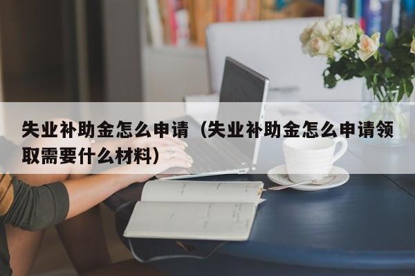失业补助金怎么申请（失业补助金怎么申请领取需要什么材料）