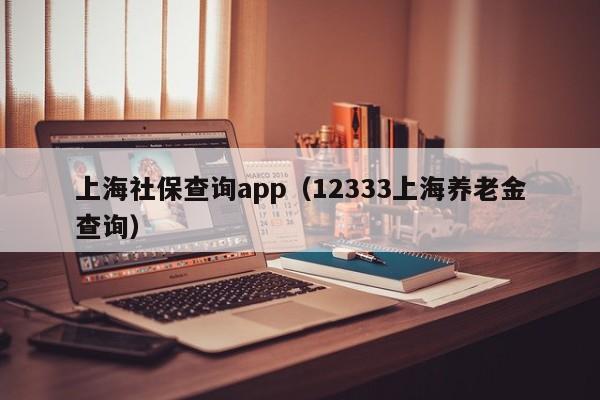 上海社保查询app（12333上海养老金查询）