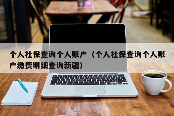 个人社保查询个人账户（个人社保查询个人账户缴费明细查询新疆）