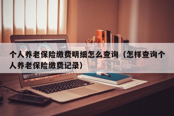 个人养老保险缴费明细怎么查询（怎样查询个人养老保险缴费记录）