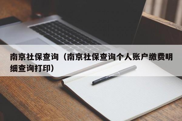 南京社保查询（南京社保查询个人账户缴费明细查询打印）