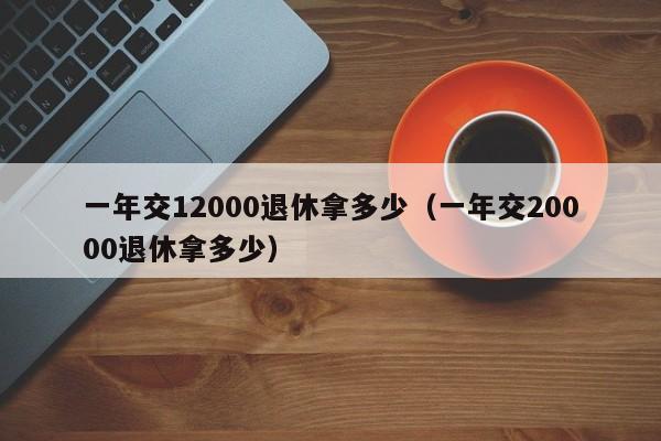一年交12000退休拿多少（一年交20000退休拿多少）