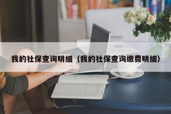 我的社保查询明细（我的社保查询缴费明细）