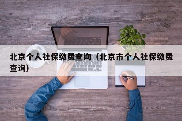 北京个人社保缴费查询（北京市个人社保缴费查询）