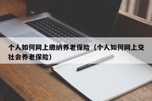 个人如何网上缴纳养老保险（个人如何网上交社会养老保险）