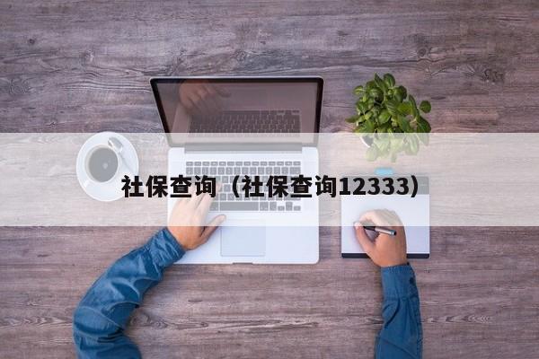 社保查询（社保查询12333）