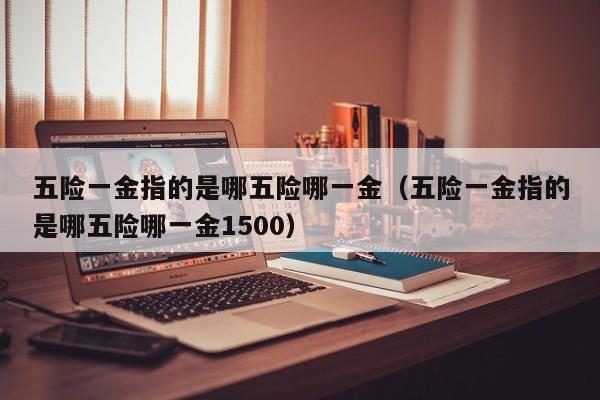 五险一金指的是哪五险哪一金（五险一金指的是哪五险哪一金1500）