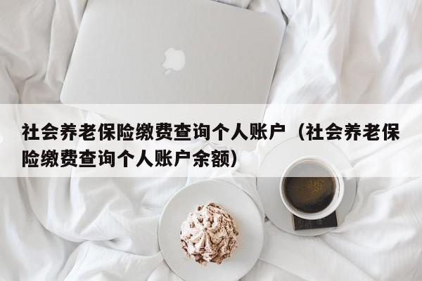 社会养老保险缴费查询个人账户（社会养老保险缴费查询个人账户余额）