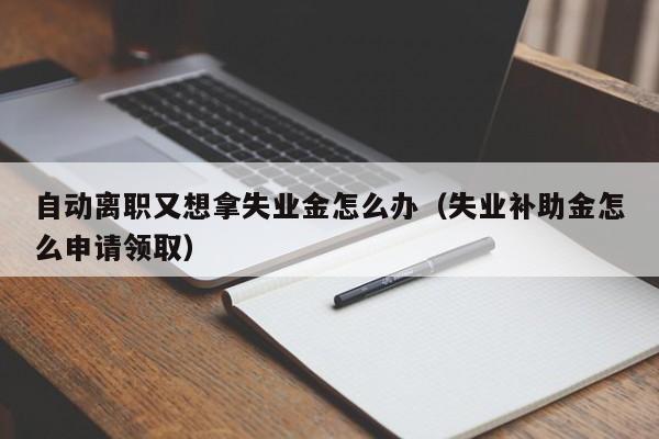 自动离职又想拿失业金怎么办（失业补助金怎么申请领取）