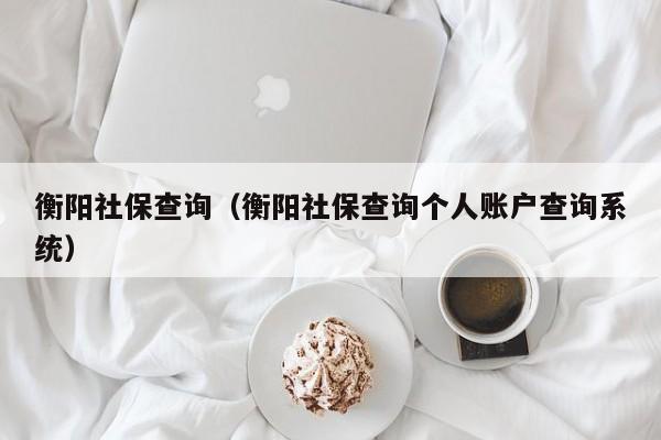 衡阳社保查询（衡阳社保查询个人账户查询系统）