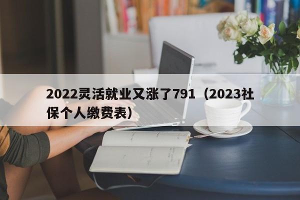2022灵活就业又涨了791（2023社保个人缴费表）