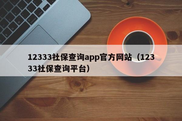 12333社保查询app官方网站（12333社保查询平台）