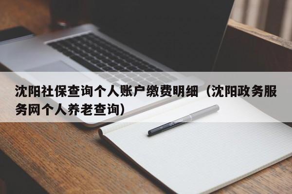 沈阳社保查询个人账户缴费明细（沈阳政务服务网个人养老查询）