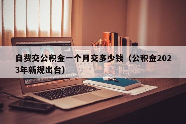 自费交公积金一个月交多少钱（公积金2023年新规出台）