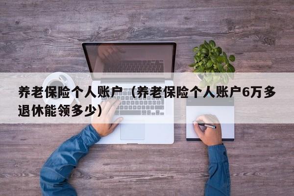 养老保险个人账户（养老保险个人账户6万多退休能领多少）