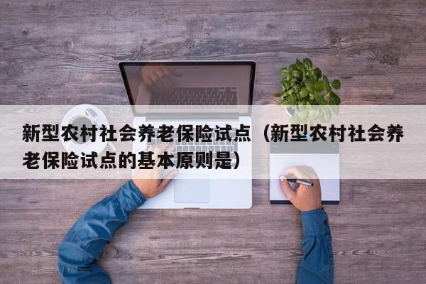 新型农村社会养老保险试点（新型农村社会养老保险试点的基本原则是）