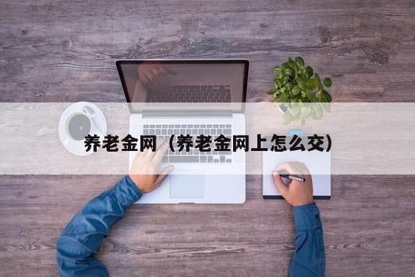 养老金网（养老金网上怎么交）