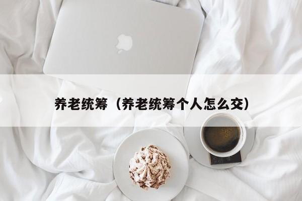 养老统筹（养老统筹个人怎么交）