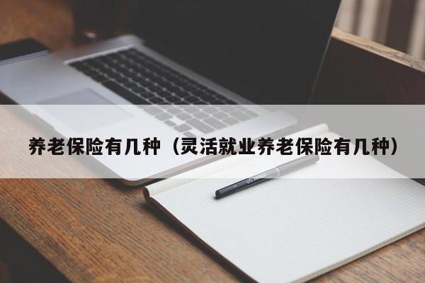 养老保险有几种（灵活就业养老保险有几种）