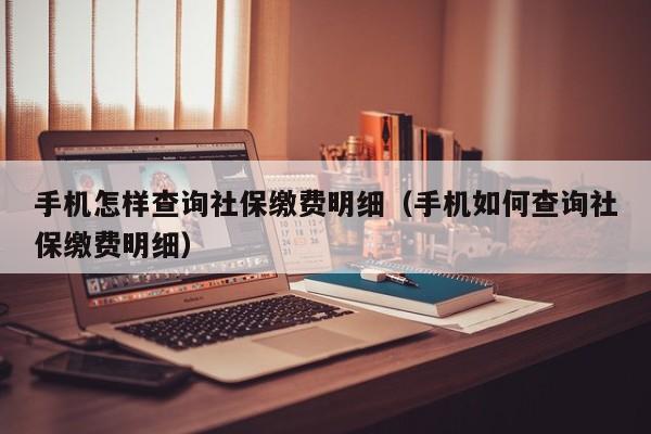 手机怎样查询社保缴费明细（手机如何查询社保缴费明细）