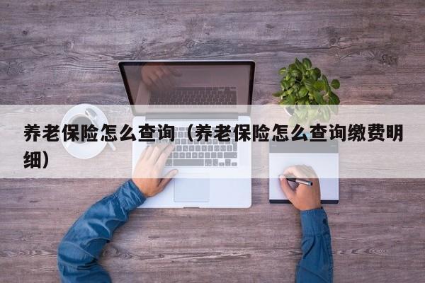 养老保险怎么查询（养老保险怎么查询缴费明细）
