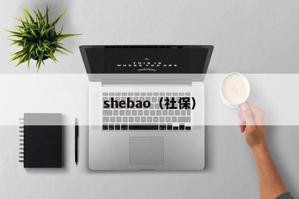 shebao（社保）