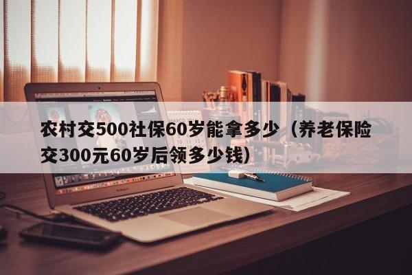 农村交500社保60岁能拿多少（养老保险交300元60岁后领多少钱）
