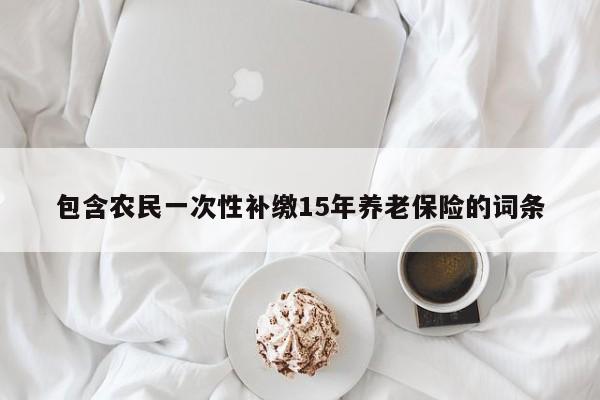 包含农民一次性补缴15年养老保险的词条