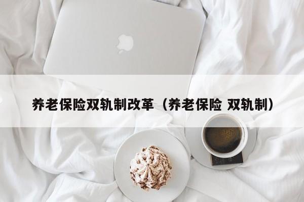 养老保险双轨制改革（养老保险 双轨制）