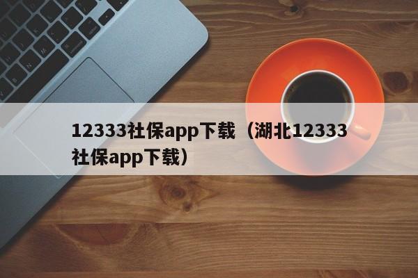 12333社保app下载（湖北12333社保app下载）