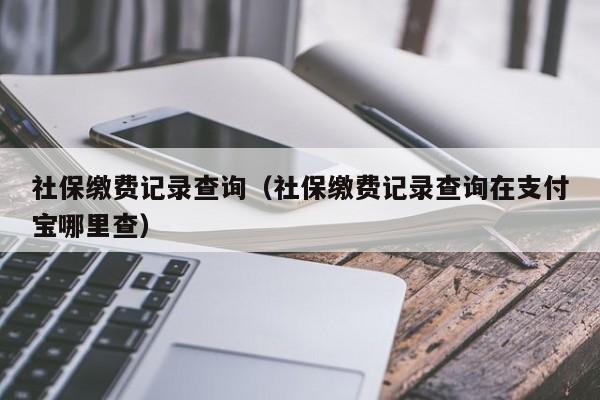 社保缴费记录查询（社保缴费记录查询在支付宝哪里查）