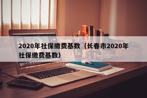 2020年社保缴费基数（长春市2020年社保缴费基数）