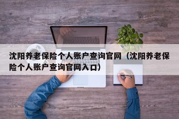 沈阳养老保险个人账户查询官网（沈阳养老保险个人账户查询官网入口）