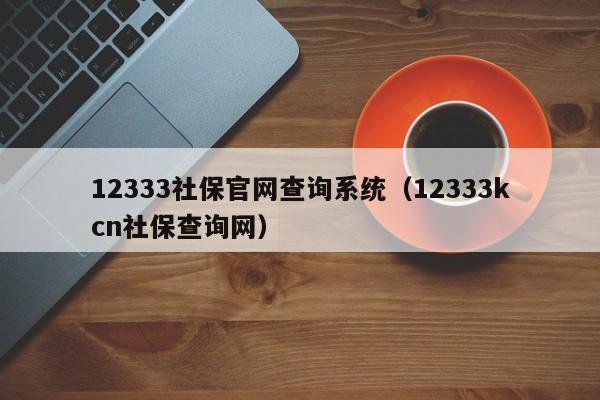 12333社保官网查询系统（12333kcn社保查询网）