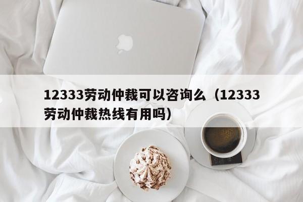 12333劳动仲裁可以咨询么（12333劳动仲裁热线有用吗）